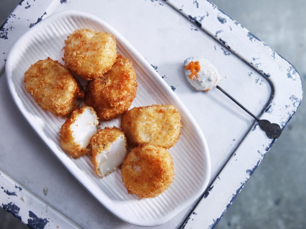 ����¶���д��ӵ�����