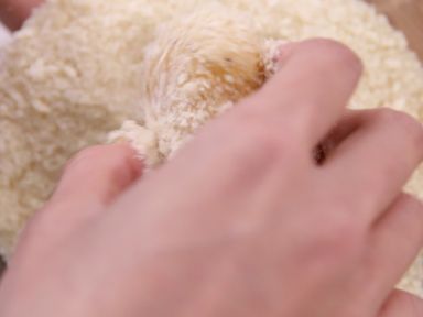 ����¶���д��ӵ�����