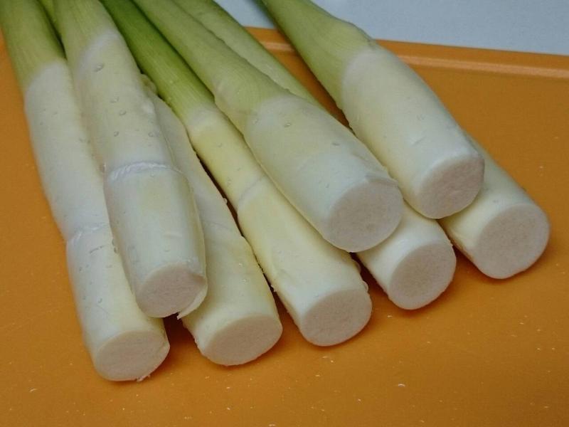 �������������