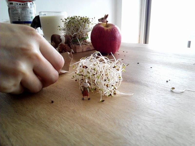 [Ӫ��ʦ�ľ�����֮·] ���Ծ�����������