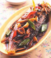 �������������