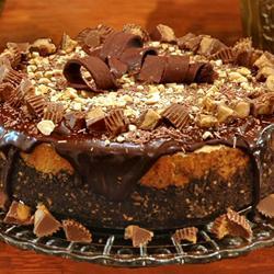 С������ϲ����֥ʿ���������