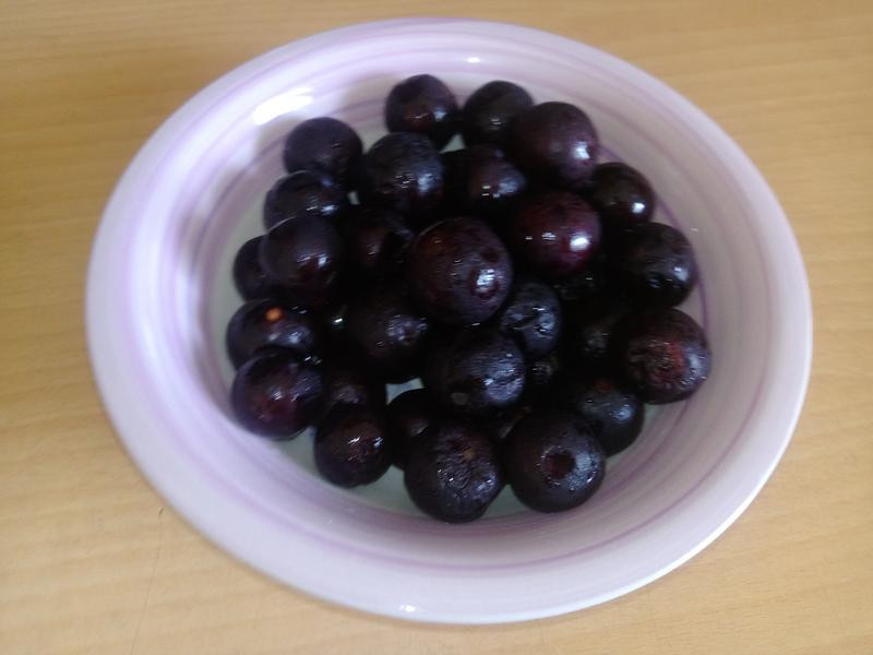 ���������ѹ�֭������