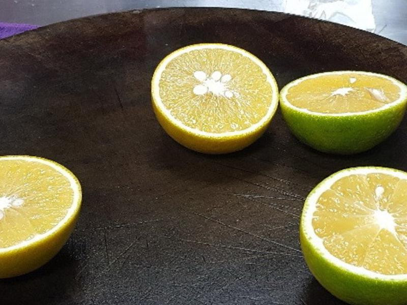 ��֭��Ƭ������