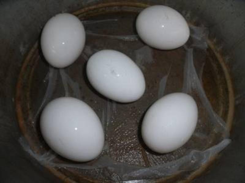 ±��±�ⷽ��������