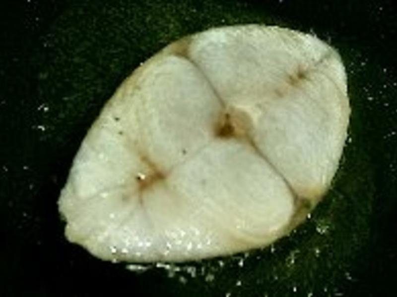 ̩ʽ�������㡾��֮����������