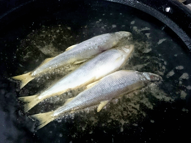 �������������