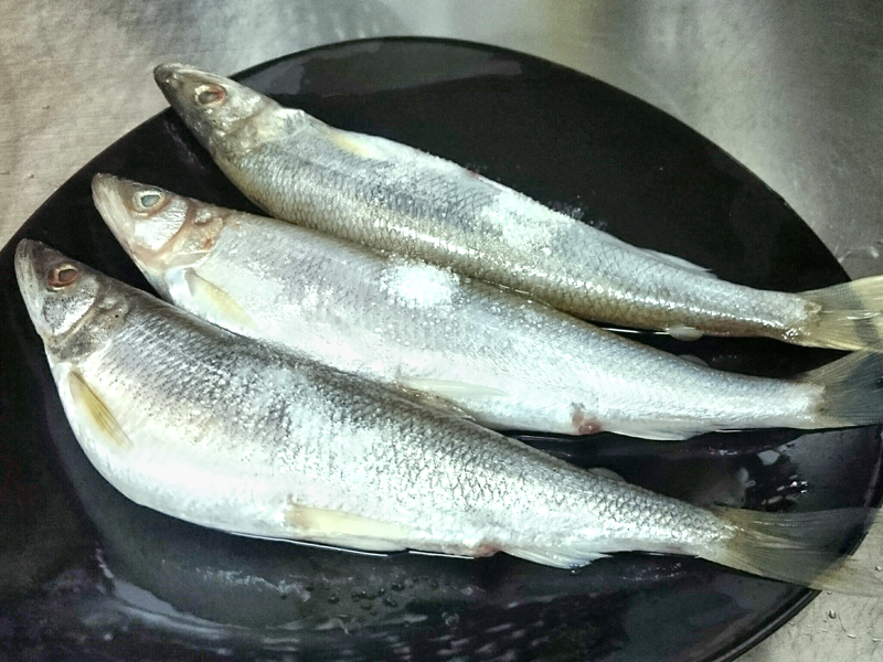 �������������