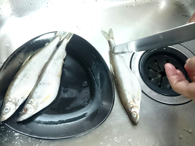 �������������