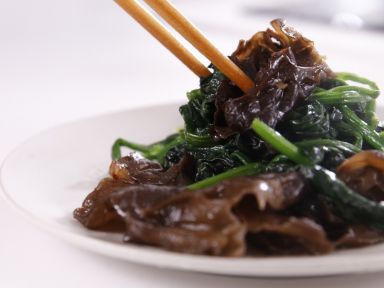 �����������ƶ�������