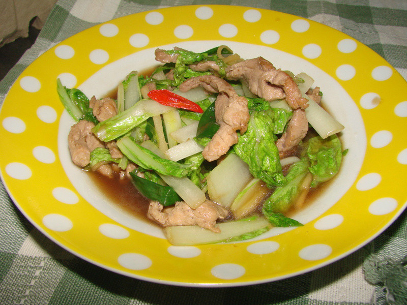 С�ײ���Ƭ������