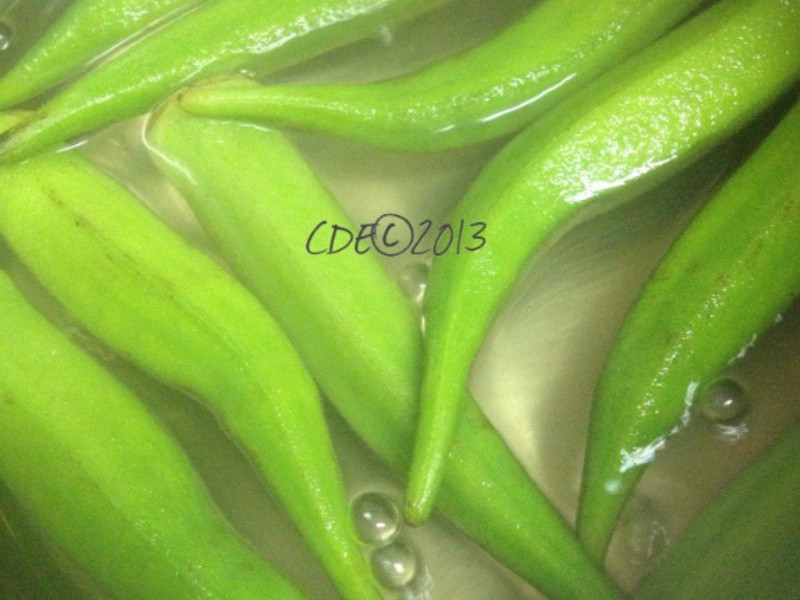 �����������������