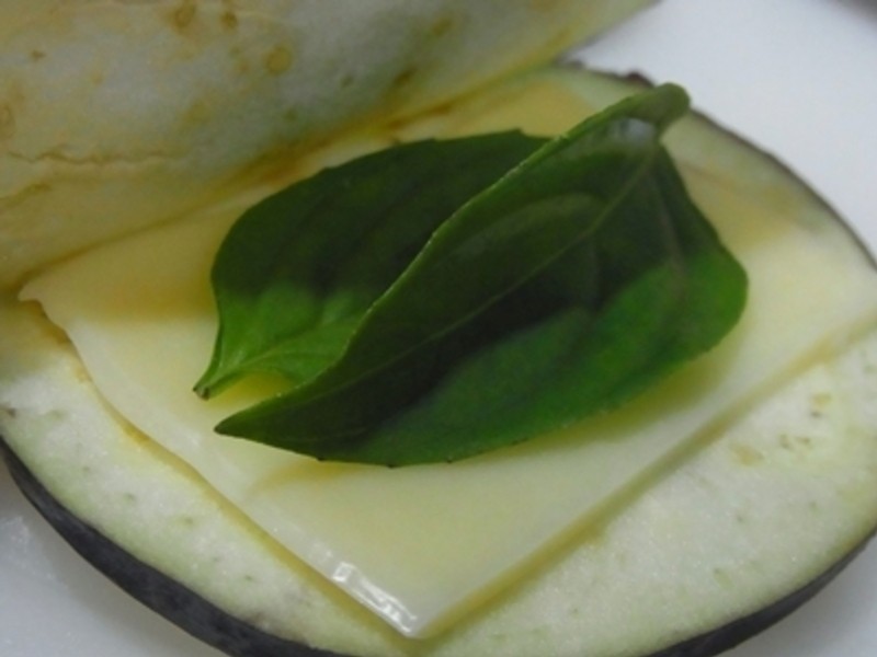 ֥���������ӵ�����