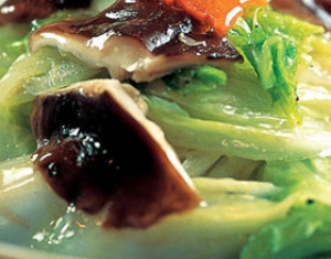 �����հײ˵�����