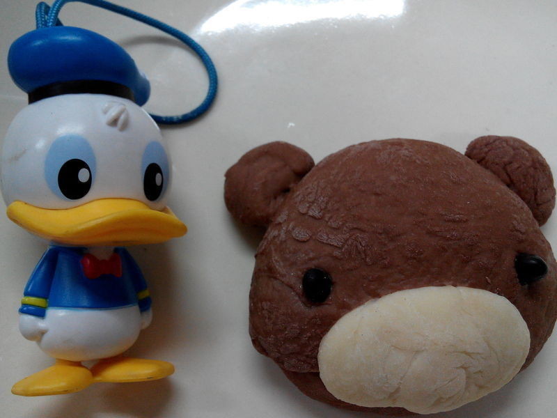 �ɿ����������-�ѥ�ι����ֹ����������������