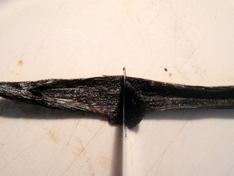 [SDS] �ֹ���ݱ���� Vanilla Ice Cream������