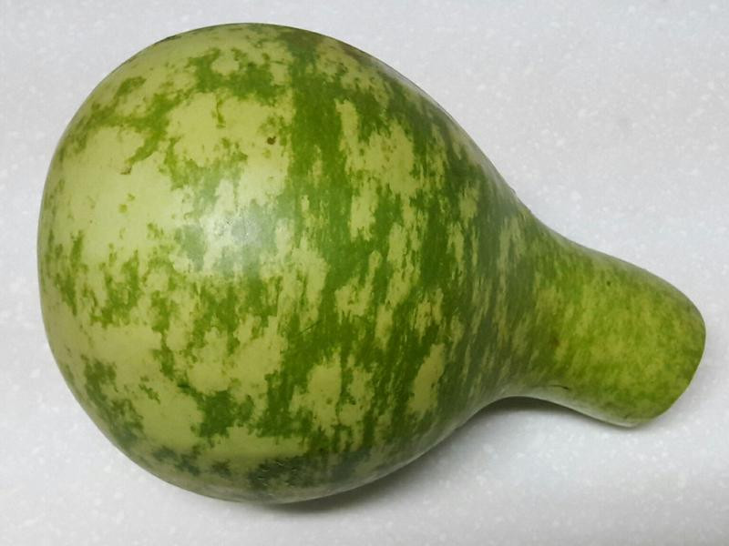 ����ζ�ѹϼ��������