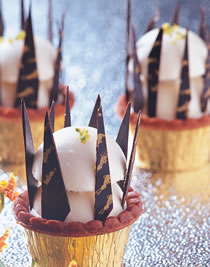 ��֦����������