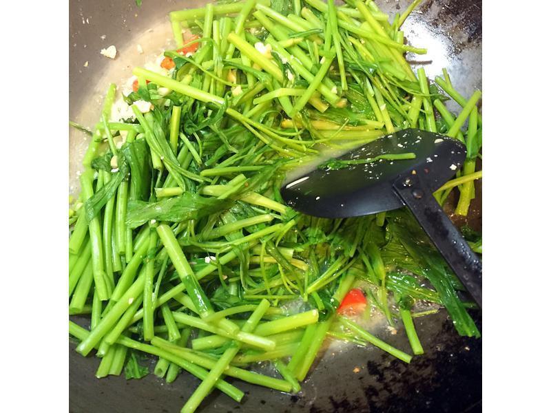 ������Ĳ� - 10��������������