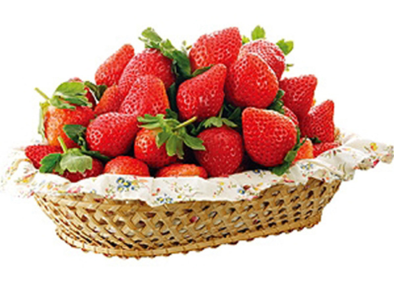 ��ݮ���ĵ�����