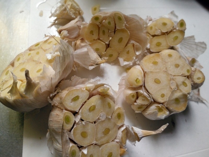 �Ե�����Ϳ����ߵ�����