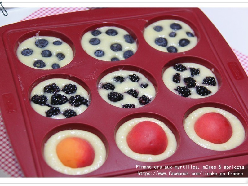 ����ѩ (��ݮ/����/ɣ�)������