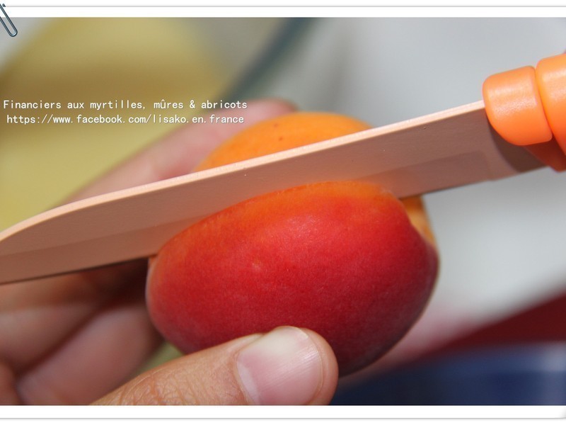 ����ѩ (��ݮ/����/ɣ�)������