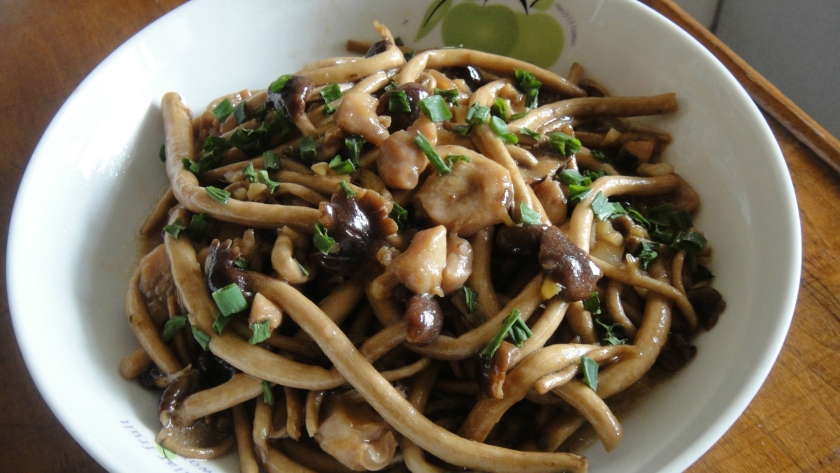 ���ȳ�������������