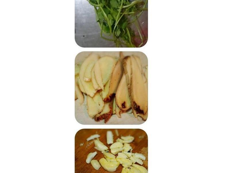 ����ð����������