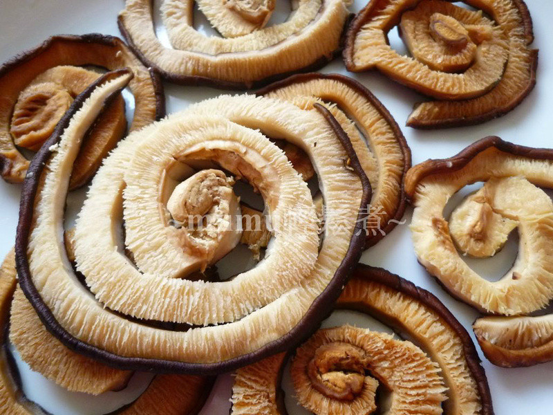 ֥���ش���������