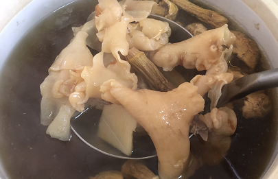 ����������������׻���������������