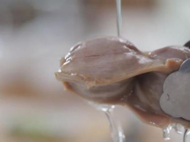 Ѽ�Ӳ˸���������