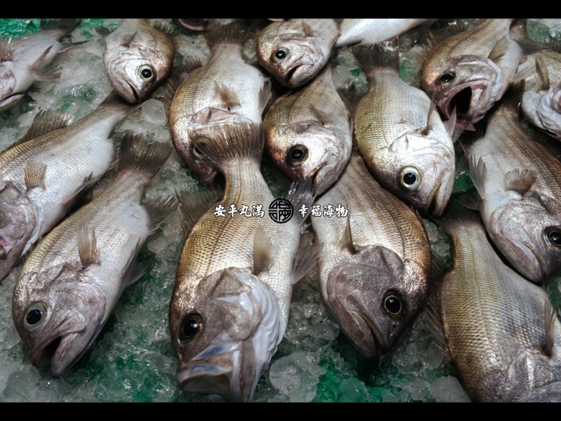 �ڴ�Ŀ��(Ҷ��)��˿����������