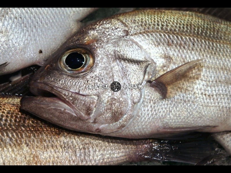 �ڴ�Ŀ��(Ҷ��)��˿����������