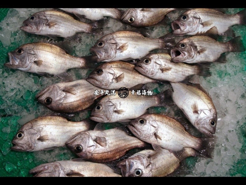 �ڴ�Ŀ��(Ҷ��)��˿����������