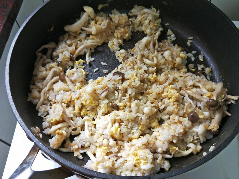 ţ���������������