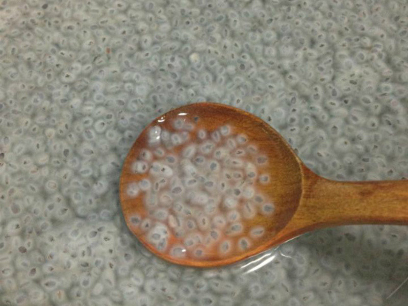 Q������֭������