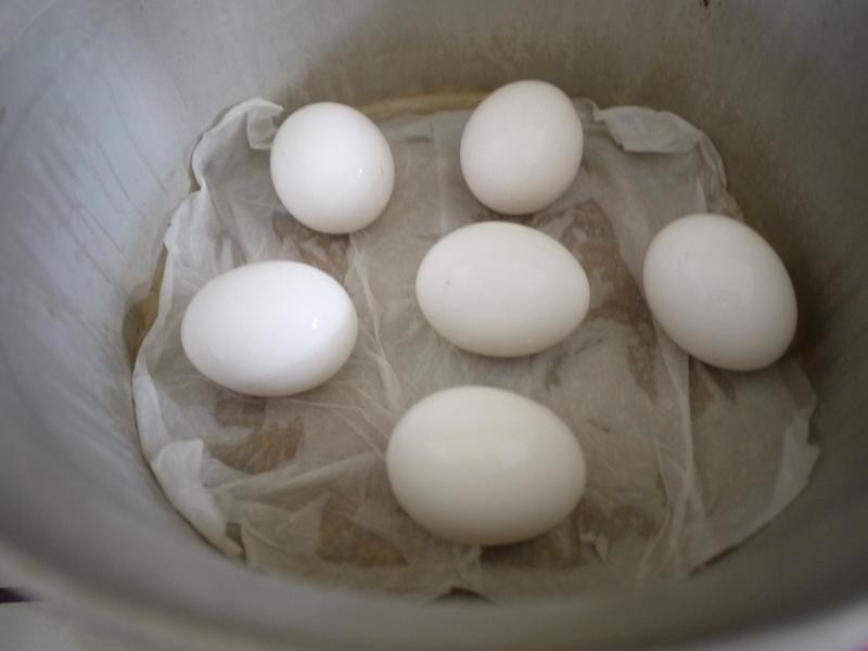 ��±���㹽��Ҷ��������