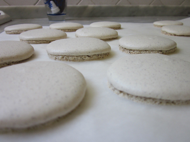 ���Ⱥ�ɰ��ʽ������������