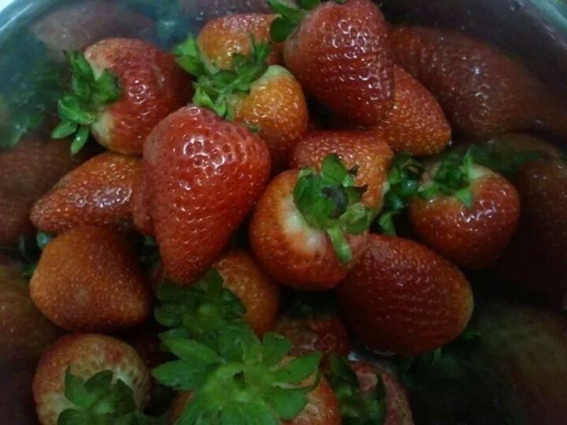 [��椳���] ������ݮ���� DIY������