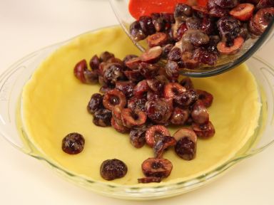 ŤŤ������������