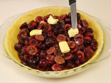 ŤŤ������������