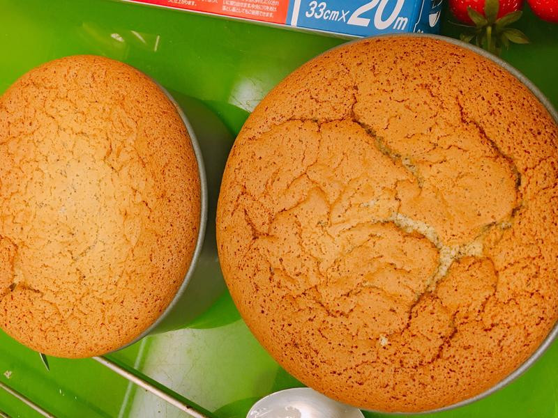 ��ݮ���ɿ����ݷ絰�������