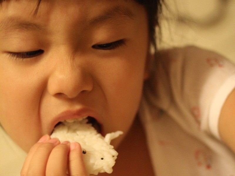 Kitty��-Puppy���ŵ�����