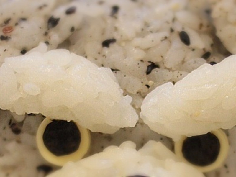 Kitty��-Puppy���ŵ�����