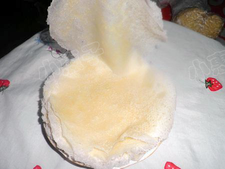 ����Ƥ������