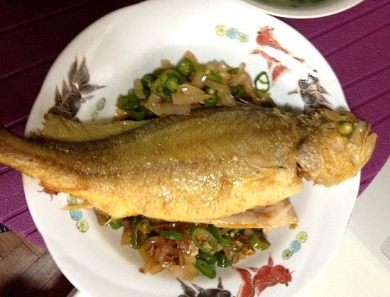 ����ջƻ��������