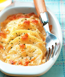 �h��������������