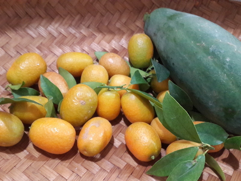 ̩ɽ�����-̩ʽ������ľ�ϵ�����