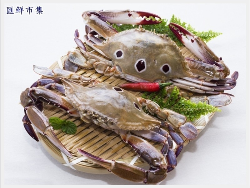 ���֭����з������